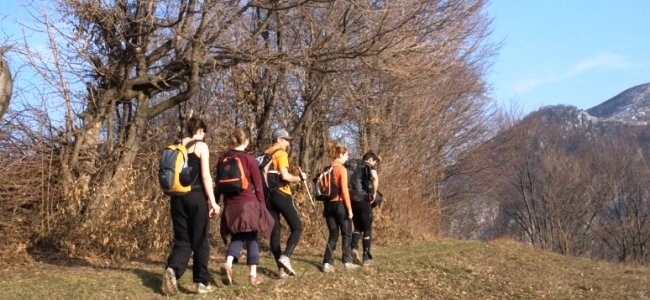 Muncind cu drag la Hercules si HCO