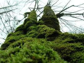 Revelion la Cabana Negoiu, Fagaras 29 dec 2005 - 02 ian 2006{[]}Revelion la Cabana Negoiu, Fagaras 29 dec 2005 - 02 ian 2006