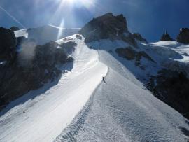 Frendo Spur{[]}Frendo Spur