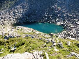 Frendo Spur{[]}Frendo Spur