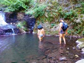 Pere, mere, prune, mure, baita, saritori, canion totul la chilot{[]}Pere, mere, prune, mure, baita, saritori, canion totul la chilot