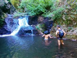 Pere, mere, prune, mure, baita, saritori, canion totul la chilot{[]}Pere, mere, prune, mure, baita, saritori, canion totul la chilot