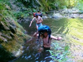 Pere, mere, prune, mure, baita, saritori, canion totul la chilot{[]}Pere, mere, prune, mure, baita, saritori, canion totul la chilot