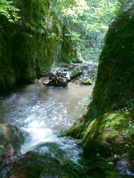 Pere, mere, prune, mure, baita, saritori, canion totul la chilot{[]}Pere, mere, prune, mure, baita, saritori, canion totul la chilot