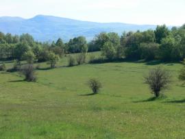 Pecka Rock Challange 2011{[]}Pecka Rock Challange 2011