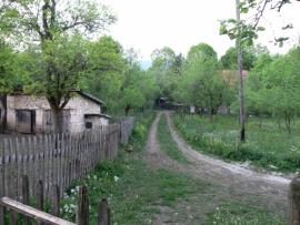 Pecka Rock Challange 2011{[]}Pecka Rock Challange 2011