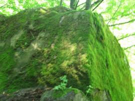 In cautarea bolovanilor