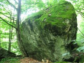 In cautarea bolovanilor