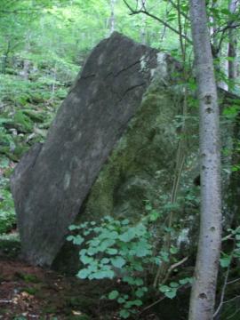 In cautarea bolovanilor