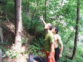 In cautarea bolovanilor