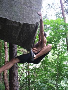 In cautarea bolovanilor