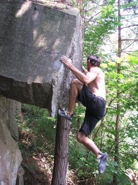 In cautarea bolovanilor