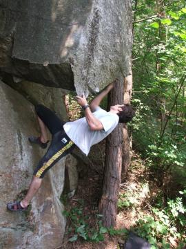 In cautarea bolovanilor