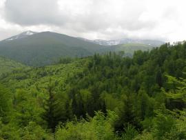 Poiana Marului - Tarcu{[]}Poiana Marului - Tarcu