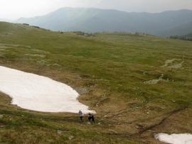 Poiana Marului - Tarcu{[]}Poiana Marului - Tarcu