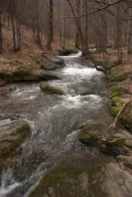 Muncind cu drag la Hercules si HCO{[]}Muncind cu drag la Hercules si HCO