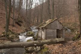 Muncind cu drag la Hercules si HCO{[]}Muncind cu drag la Hercules si HCO