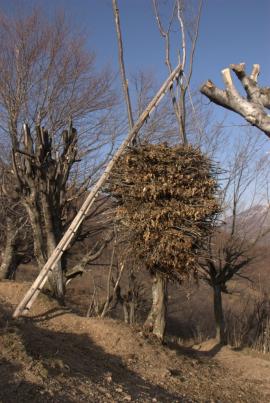 Muncind cu drag la Hercules si HCO{[]}Muncind cu drag la Hercules si HCO