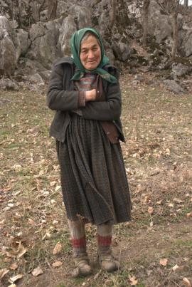 Muncind cu drag la Hercules si HCO{[]}Muncind cu drag la Hercules si HCO