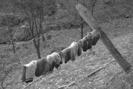 Muncind cu drag la Hercules si HCO{[]}Muncind cu drag la Hercules si HCO