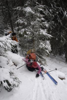 Din Tarcu pana in Straja{[]}Din Tarcu pana in Straja