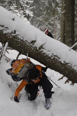 Din Tarcu pana in Straja{[]}Din Tarcu pana in Straja