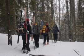 Din Tarcu pana in Straja{[]}Din Tarcu pana in Straja