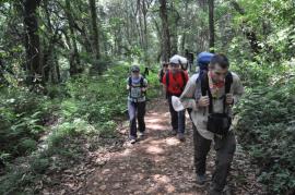 Uhuru Peak{[]}Uhuru Peak