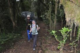 Uhuru Peak{[]}Uhuru Peak