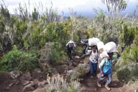 Uhuru Peak{[]}Uhuru Peak