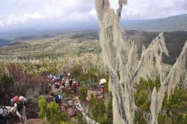 Uhuru Peak{[]}Uhuru Peak