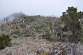 Uhuru Peak{[]}Uhuru Peak