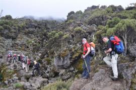 Uhuru Peak{[]}Uhuru Peak