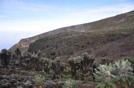Uhuru Peak{[]}Uhuru Peak