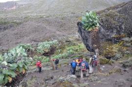 Uhuru Peak{[]}Uhuru Peak