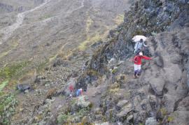 Uhuru Peak{[]}Uhuru Peak