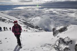 Uhuru Peak{[]}Uhuru Peak