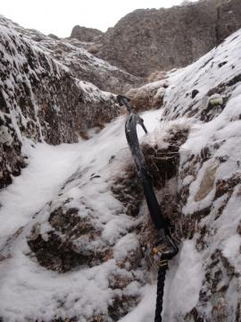 Creasta Costila Galbenele - Solo{[]}Creasta Costila Galbenele - Solo