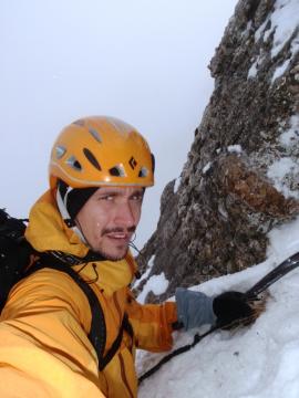 Creasta Costila Galbenele - Solo{[]}Creasta Costila Galbenele - Solo