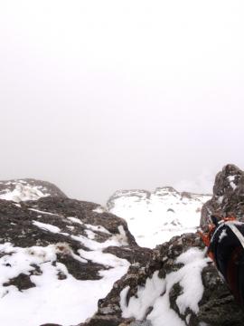 Creasta Costila Galbenele - Solo{[]}Creasta Costila Galbenele - Solo