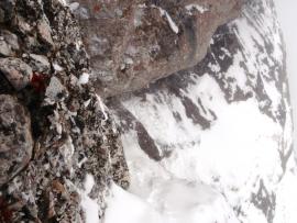 Creasta Costila Galbenele - Solo{[]}Creasta Costila Galbenele - Solo