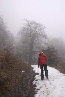 Pregatiri Hercules Maraton 27-28 feb{[]}Pregatiri Hercules Maraton 27-28 feb