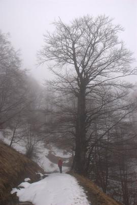 Pregatiri Hercules Maraton 27-28 feb{[]}Pregatiri Hercules Maraton 27-28 feb