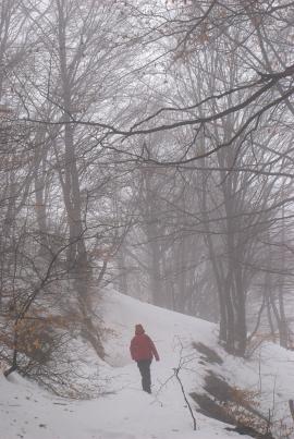 Pregatiri Hercules Maraton 27-28 feb{[]}Pregatiri Hercules Maraton 27-28 feb