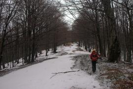 Pregatiri Hercules Maraton 27-28 feb{[]}Pregatiri Hercules Maraton 27-28 feb