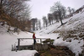 Pregatiri Hercules Maraton 27-28 feb{[]}Pregatiri Hercules Maraton 27-28 feb