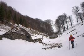 Pregatiri Hercules Maraton 27-28 feb{[]}Pregatiri Hercules Maraton 27-28 feb