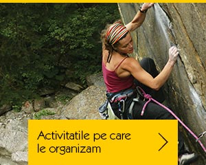 Activitatile noastre{[]}Our activities